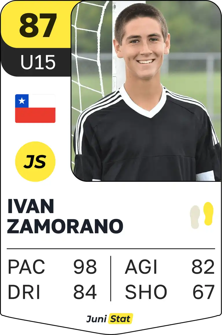 Player's card