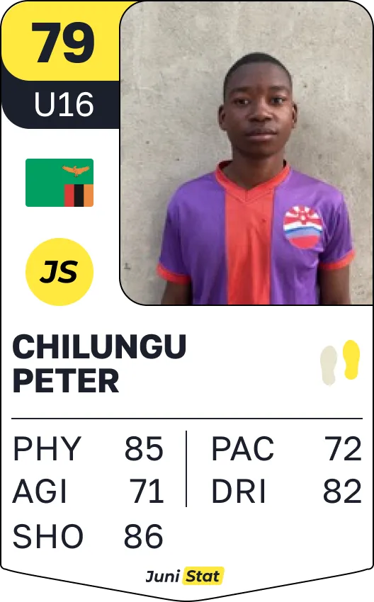 African player's card example
